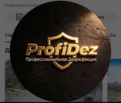ProfiDez